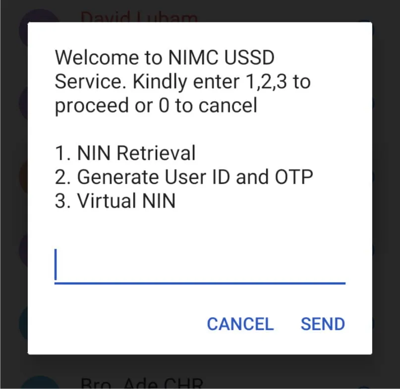 NIN USSD Code